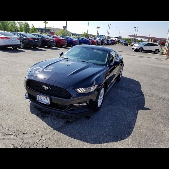 Meet your Posher, Chase - Picture 1 of 1